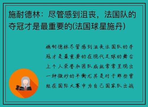 施耐德林：尽管感到沮丧，法国队的夺冠才是最重要的(法国球星施丹)