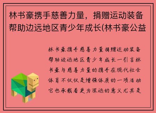 林书豪携手慈善力量，捐赠运动装备帮助边远地区青少年成长(林书豪公益活动)
