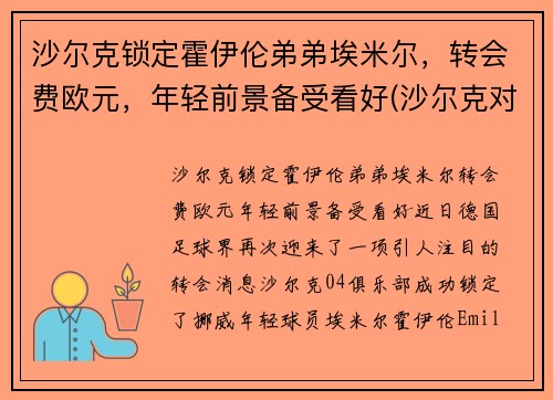 沙尔克锁定霍伊伦弟弟埃米尔，转会费欧元，年轻前景备受看好(沙尔克对霍分海姆)