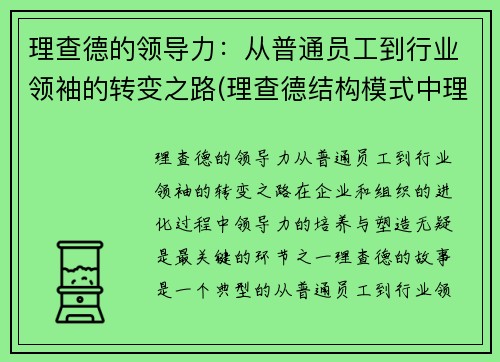理查德的领导力：从普通员工到行业领袖的转变之路(理查德结构模式中理查德认为的四个步骤)
