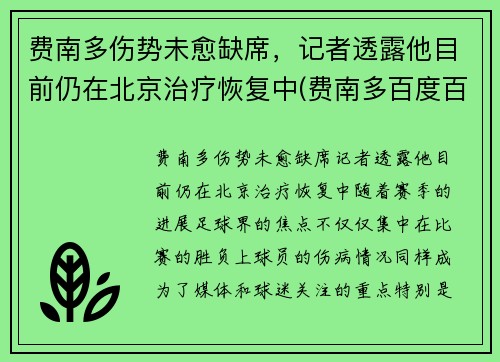 费南多伤势未愈缺席，记者透露他目前仍在北京治疗恢复中(费南多百度百科)