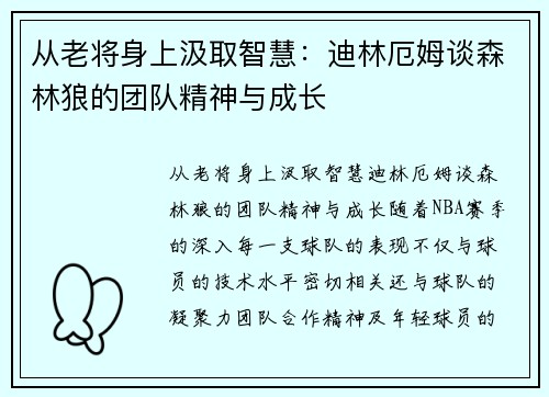 从老将身上汲取智慧：迪林厄姆谈森林狼的团队精神与成长
