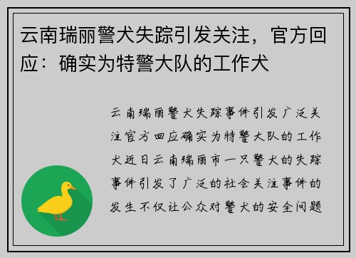 云南瑞丽警犬失踪引发关注，官方回应：确实为特警大队的工作犬