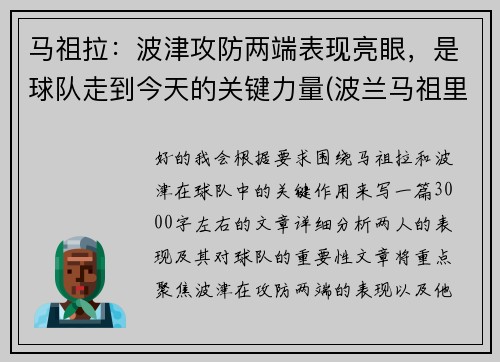 马祖拉：波津攻防两端表现亮眼，是球队走到今天的关键力量(波兰马祖里)